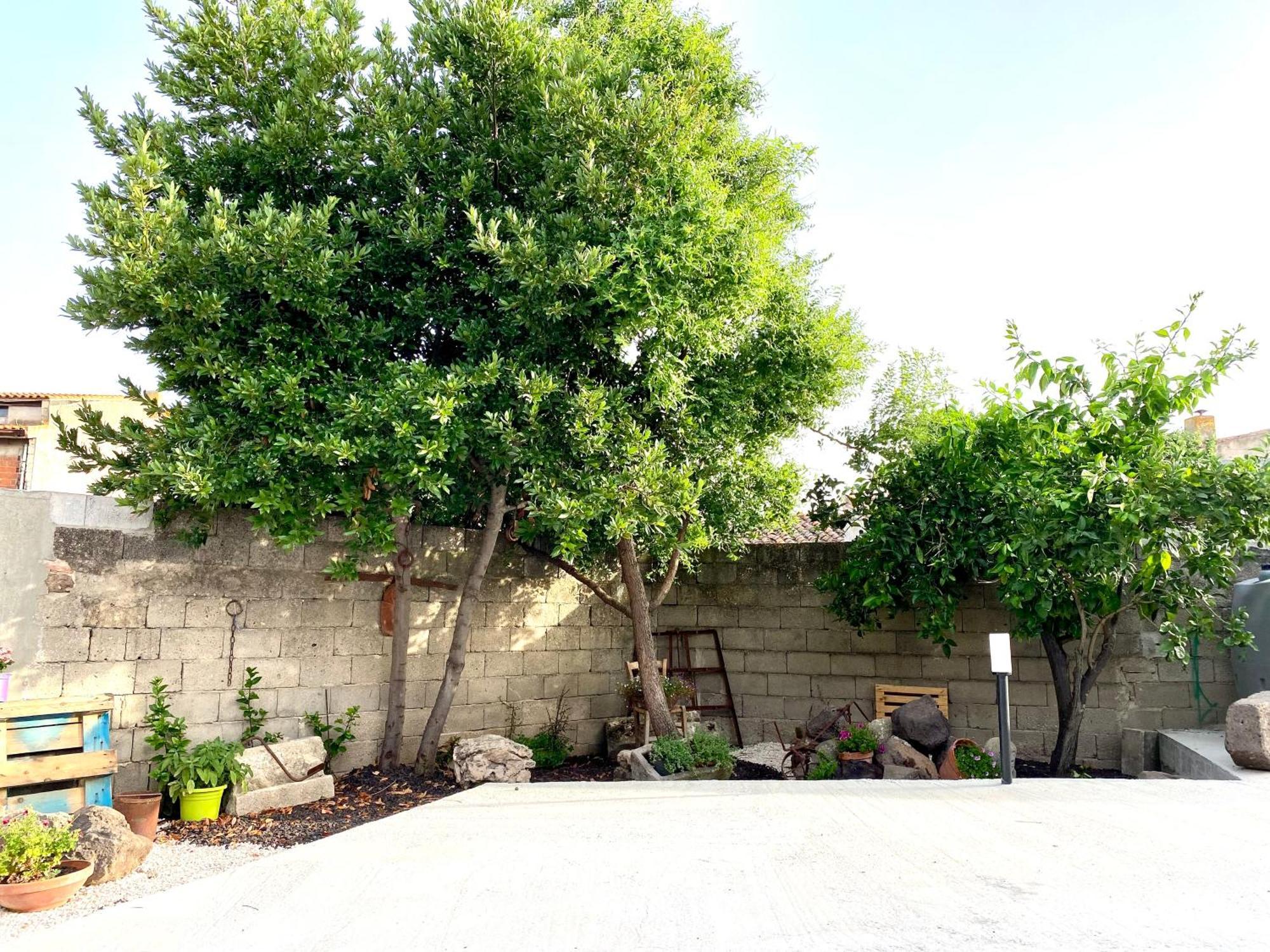 דירות San Vero Milis Casa Meli מראה חיצוני תמונה